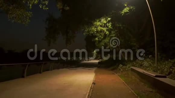 傍晚时分孤独美丽的黑发女孩在公园的堤岸上散步慢镜头视频的预览图