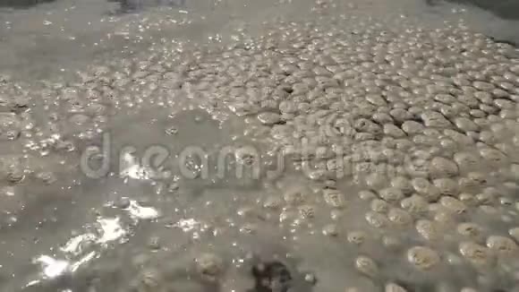 海洋污染水体富营养化水体表面脏乱的有机泡沫波视频的预览图