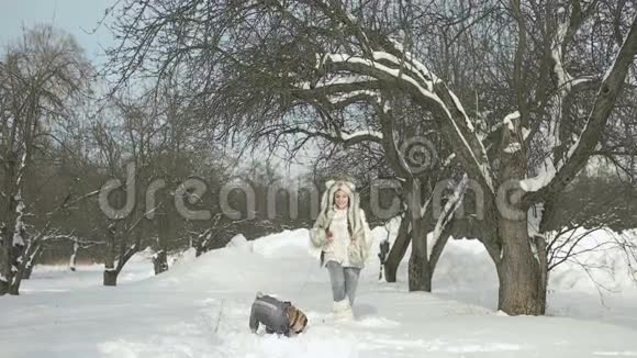 快乐的女孩在雪地上和她的狗玩耍在冬天的外面玩得很开心视频的预览图