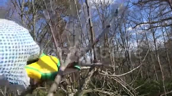 手与割枝修剪树木在春天手持特写镜头视频的预览图