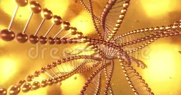 带有DNA分子漩涡的金色几何背景3D染循环4k视频的预览图