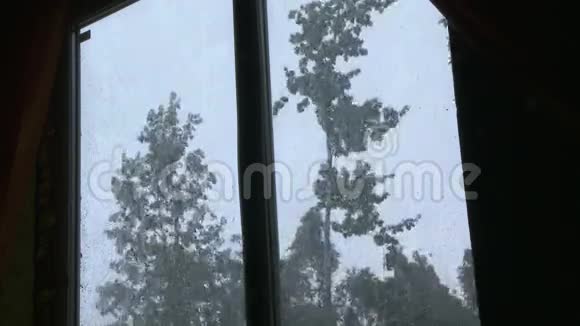 窗外下着雨潮湿的树在风中摇曳视频的预览图