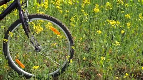 大自然中骑自行车的女孩一个女人在城外骑自行车油菜田乡村公路视频的预览图