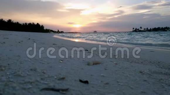 美丽的日落在海滩上俯瞰棕榈树和马尔代夫的海洋视频的预览图