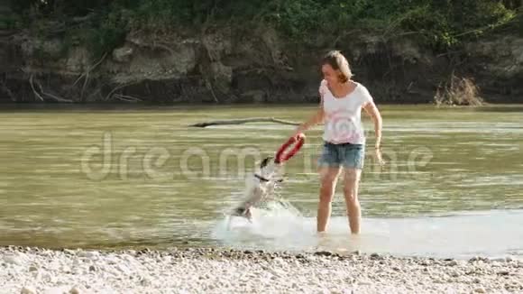女人在河边玩狗视频的预览图