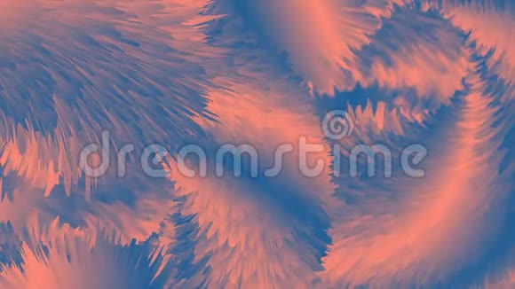 蓝色粉红抽象绒毛毛皮效果视频动画视频的预览图