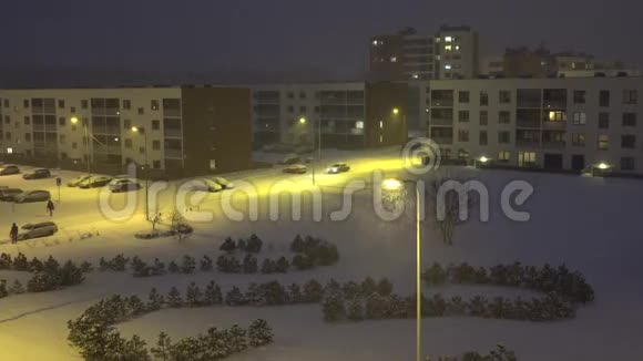暴风雨在庭院之间松树覆盖着黑暗的雪4K视频的预览图