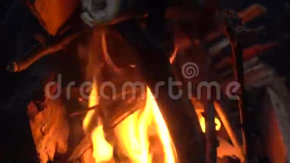 火里的木棍视频的预览图