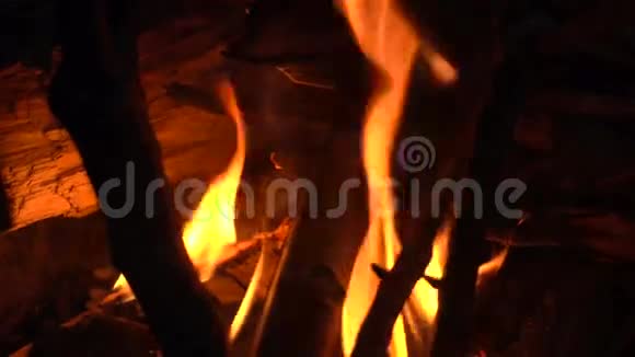 火里的木棍视频的预览图