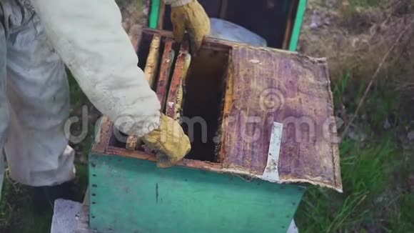 蜂窝上的蜜蜂收获蜂蜜养蜂人轻轻地从框架中移除蜜蜂日记宏高清高清视频的预览图
