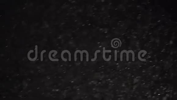 漂浮的有机尘埃颗粒在黑色背景上闪闪发光视频的预览图