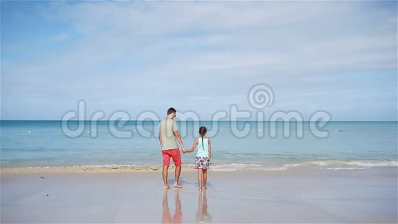 一家人在热带海滩上一起散步在热带卡莱尔湾海滩上沙滩上有白色的沙子和绿松石的海水视频的预览图