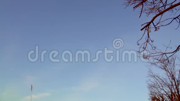乘坐飞马座大理石雕像和巨大的摩天轮在杜伊莱里花园视频的预览图