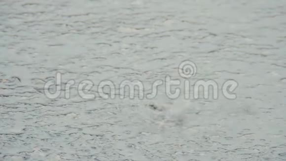 雨中路面上的水坑水滴掉进水里视频的预览图