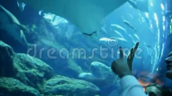 女孩和男孩看着白色黄貂鱼在水下水族馆迪拜购物中心视频的预览图