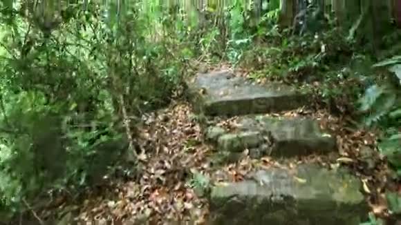 在热带丛林森林的小径上行走个人视角的观点高清慢镜头泰国视频的预览图