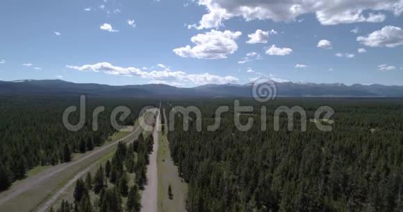 大松林空中景观4k24fps视频的预览图