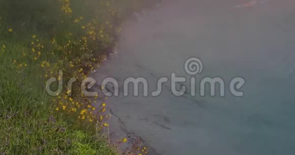 温泉旁边的花有雾4k24fps视频的预览图