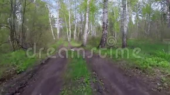 林中之路视频的预览图