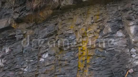 岩石特写镜头灰黄色岩石纹理视频的预览图