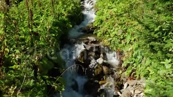 斯洛伐克塔特里山区的溪流视频的预览图