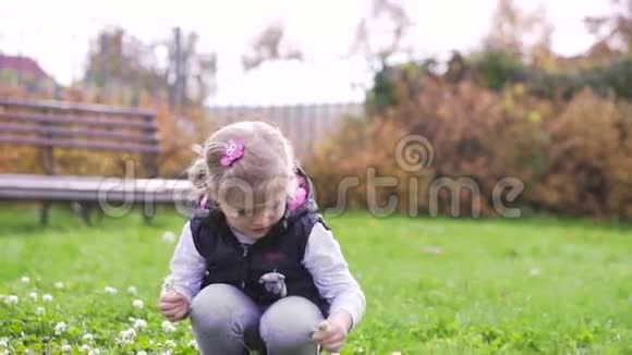 小女孩在草地上采花视频的预览图
