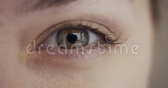 女性绿眼的特写视频的预览图