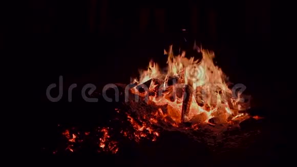 伟大的篝火自然视频的预览图