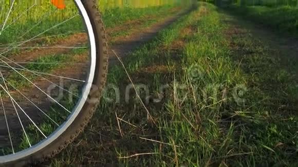 大自然上自行车的轮子乡村的山地自行车乡村道路上的自行车视频的预览图