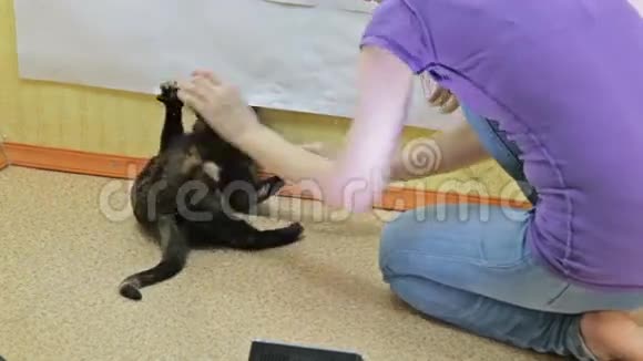 女孩和她的猫玩得很开心视频的预览图