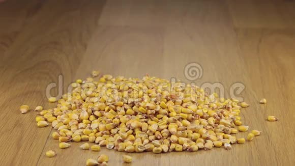 玉米粒从一堆玉米上的木勺中得到足够的睡眠视频的预览图