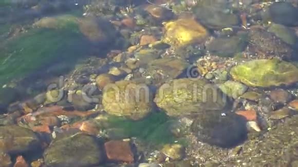 河水纯净的水面有阳光反射和海藻宁静的景色适合冥想视频的预览图