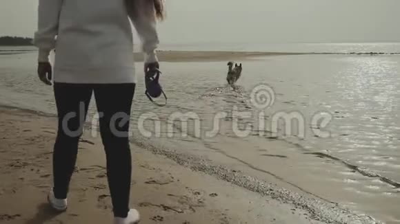快乐的年轻女子和她的混血狗在海滩上散步动作缓慢视频的预览图