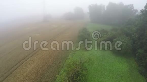 雾蒙蒙的早晨俯瞰农田和农田以及树木视频的预览图