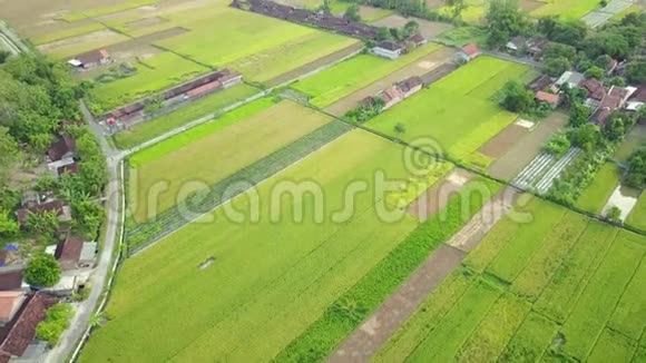 稻田和村庄的空中风光视频的预览图