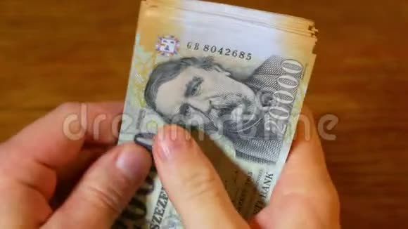 算钱匈牙利福林视频的预览图