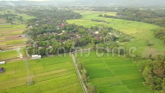 稻田和村庄的空中景观视频的预览图
