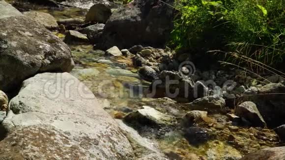 斯洛伐克塔特里山区的溪流视频的预览图