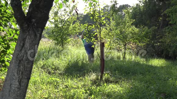 农夫盖在果园花园用水浇果树4K视频的预览图