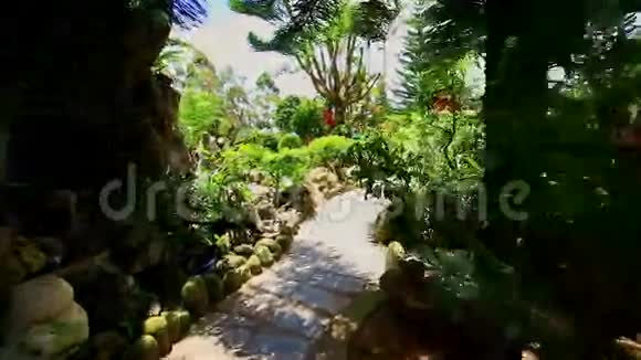 在越南的绿色公园中相机沿着狭窄的路径移动视频的预览图