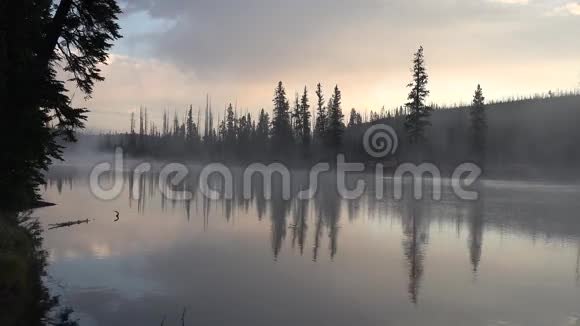 美丽的自然景观4K拍摄平静的湖泊和蒸汽喷泉在黄石公园视频的预览图