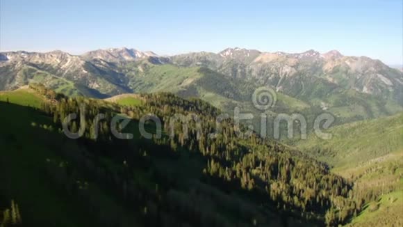 空中拍摄的绿色森林和山脉视频的预览图