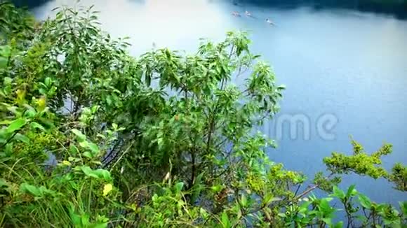 令人惊叹的辛科拉各斯泻湖全景视频的预览图