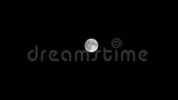 夜云后满月视频的预览图