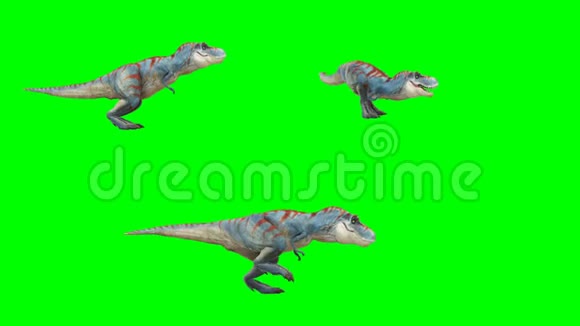 绿屏背景恐龙运动图形视频的预览图