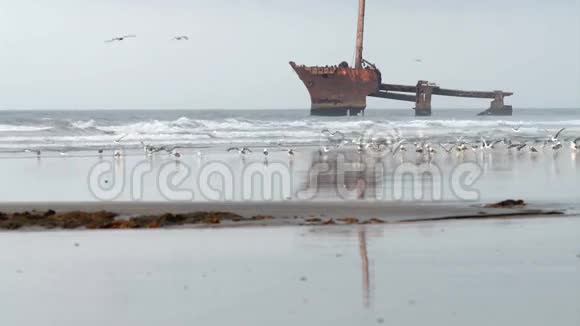 摩洛哥海滩上的沉船视频的预览图
