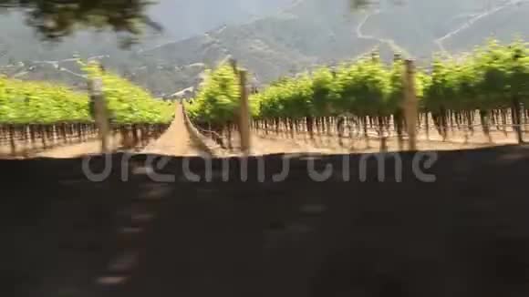 开车穿过加州葡萄酒之乡视频的预览图