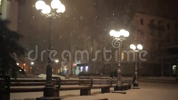夜晚雪中的路灯视频的预览图