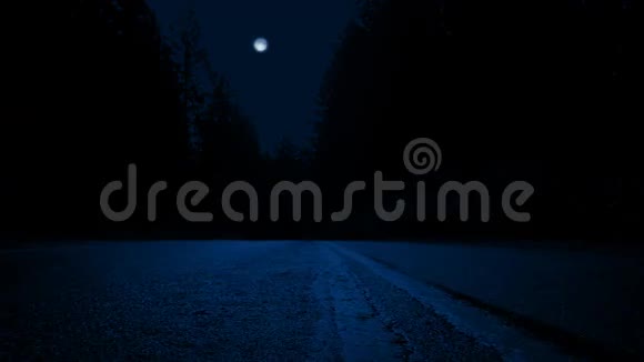 穿过马路穿过森林夜晚视频的预览图