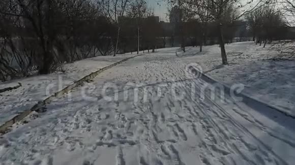 公园里的雪视频的预览图